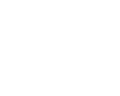 THE FIRST TAKE